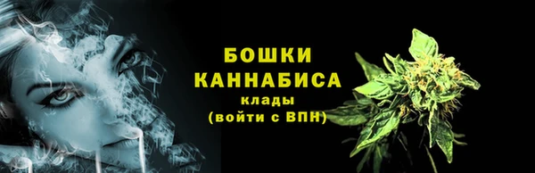 тгк Бородино