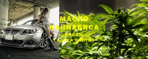 тгк Бородино