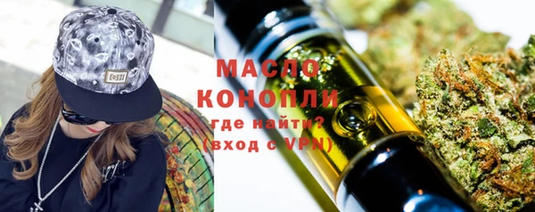 тгк Бородино